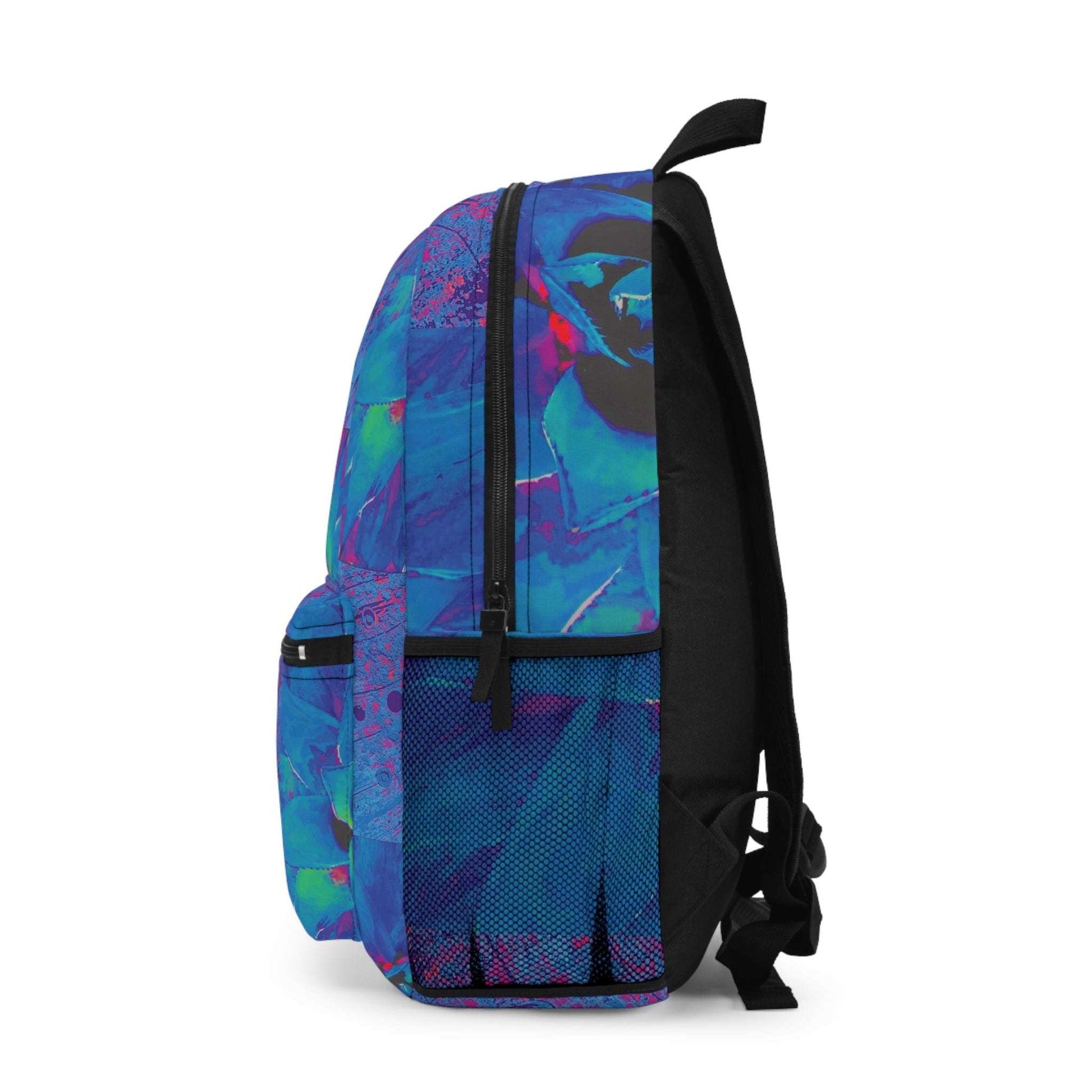 pandora back pack